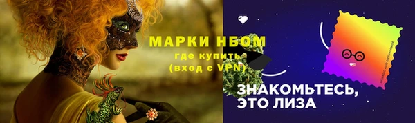 хмурый Богородск