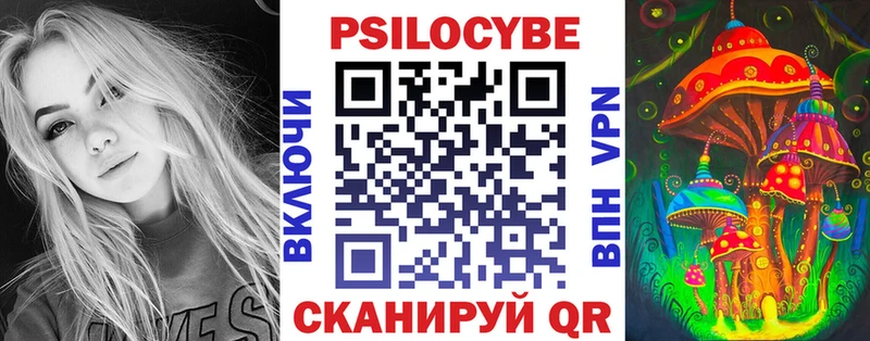 Псилоцибиновые грибы Cubensis  Новокузнецк 