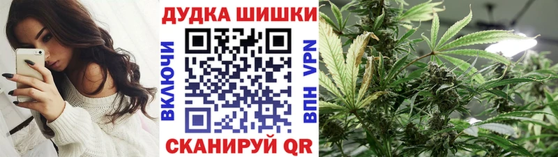 darknet наркотические препараты  Новокузнецк  Канабис сатива  дарнет шоп 